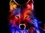 Avatar de Miguelitoo