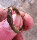 Avatar de pr3d4t0r